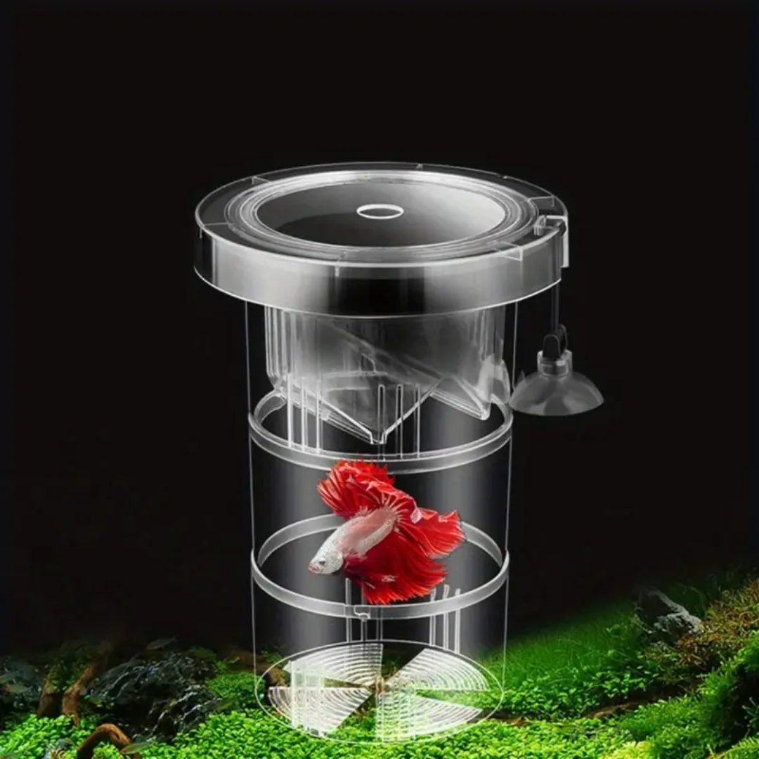 Acrylic Floating Fish Breeding - Box Fish In Aquarium review and price