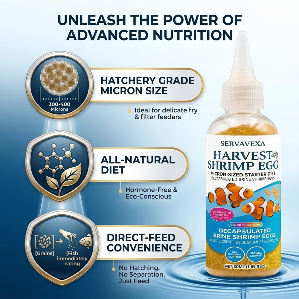 High Protein Fish Food for Bet - Aquarium Fish Elevator review and price