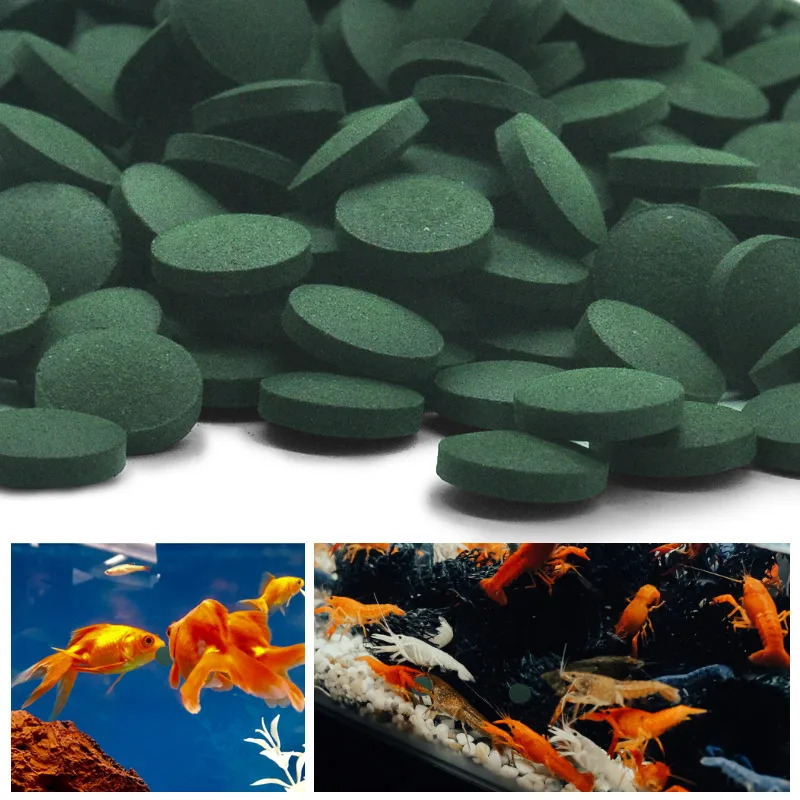 100-1500Pcs High-Purity Spirul - Aquarium Fish Enrichment review and price