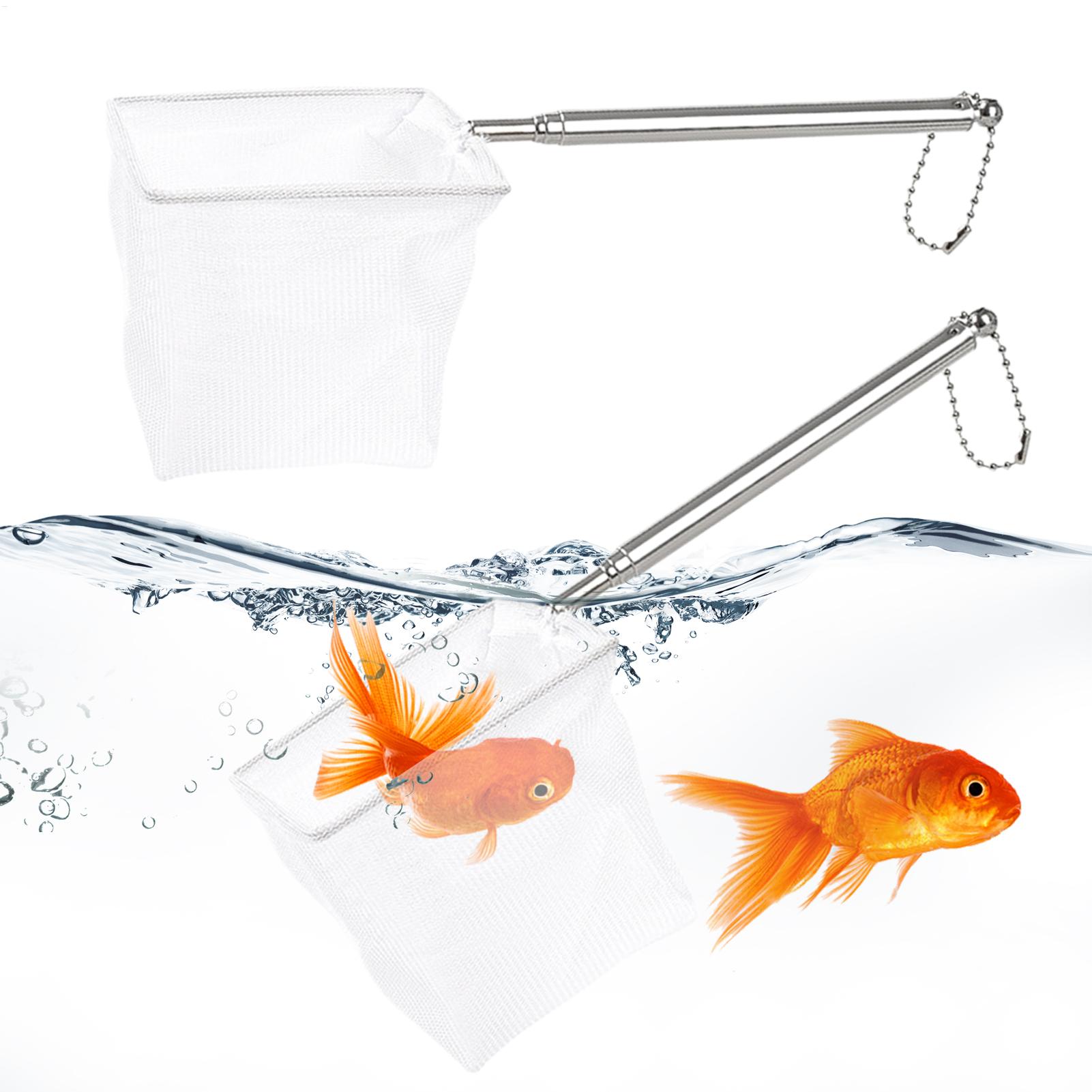 2pcs Small Fish Net Telescopic - Fish Net Handle review and price