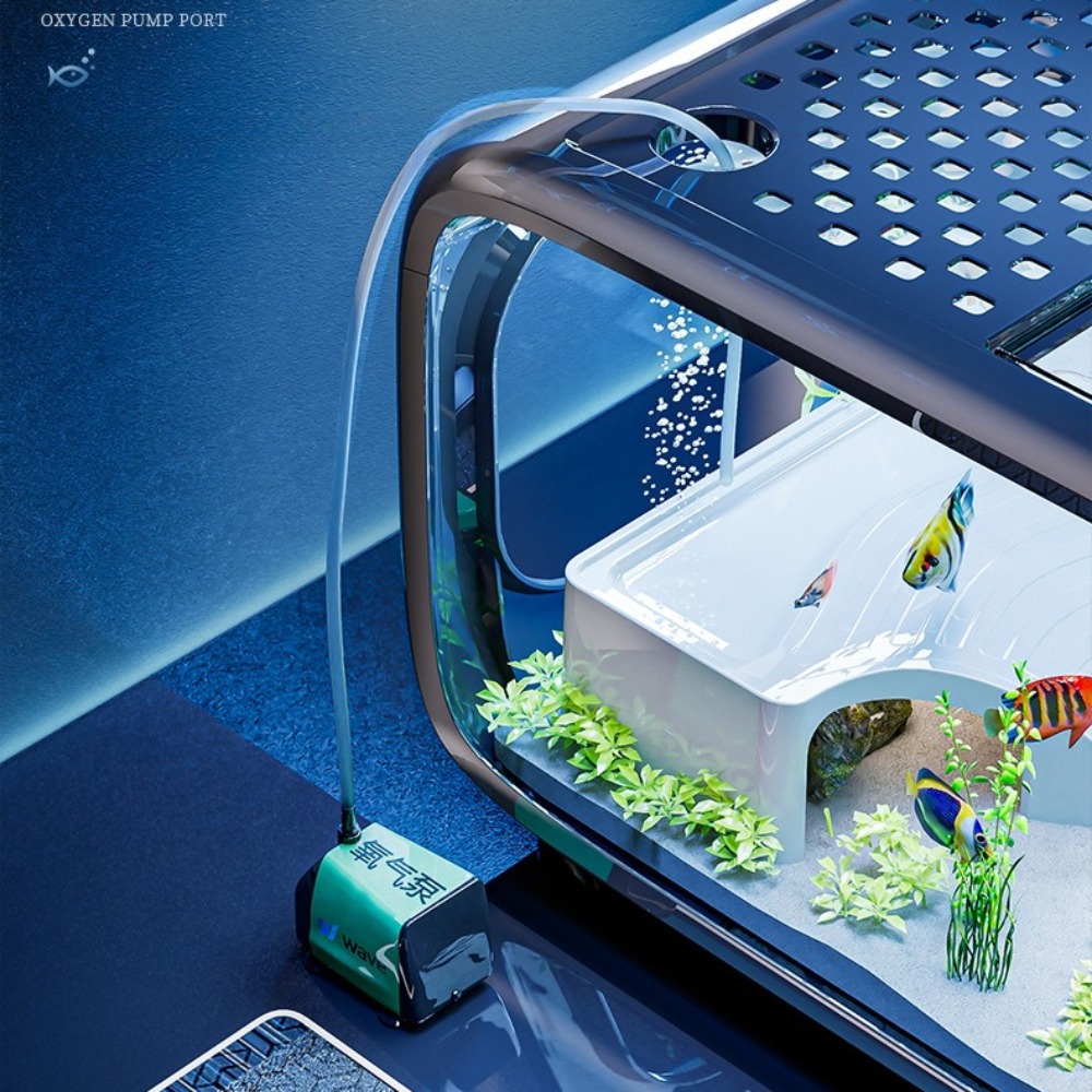Transparent Luxury Fish Tank D - Aquarium Fish Enrichment review and price