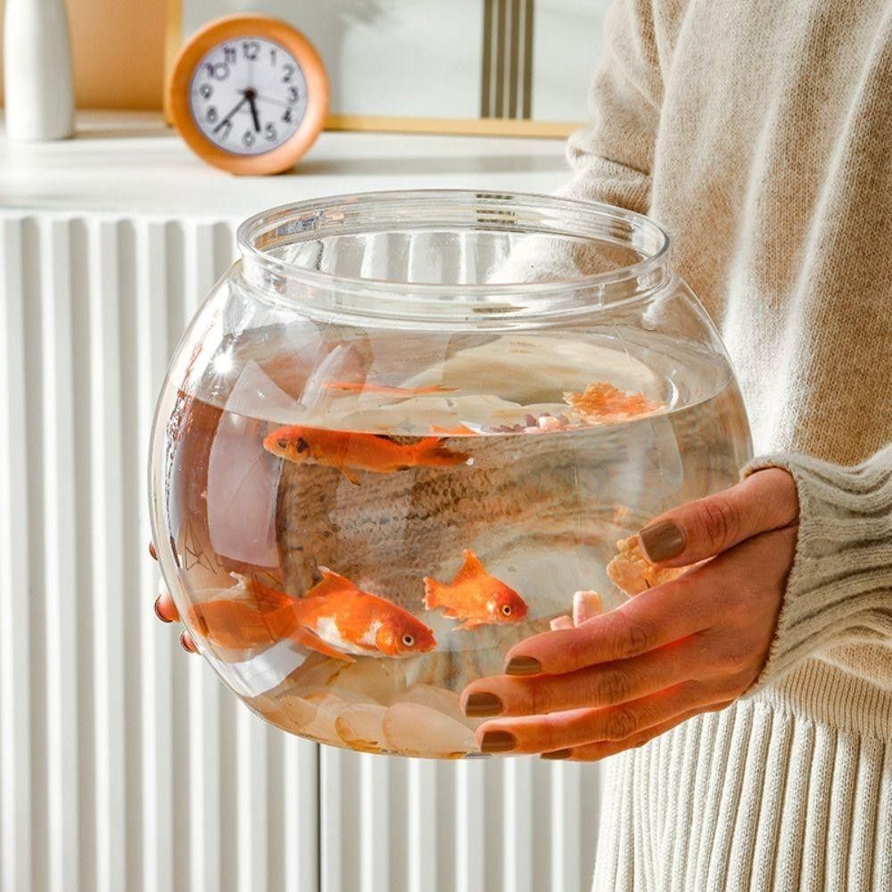 New Transparent Fish Tank Roun - Aquarium Fish For Beginners review and price