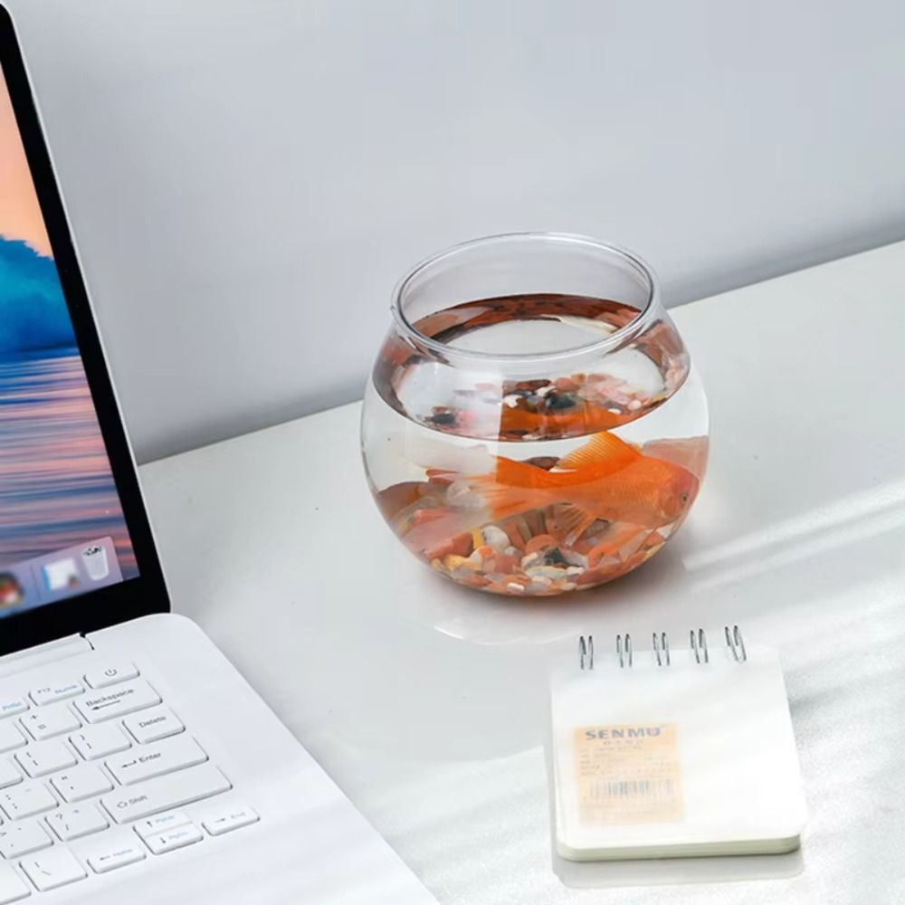 New Transparent Fish Tank Roun - Aquarium Fish For Beginners review and price