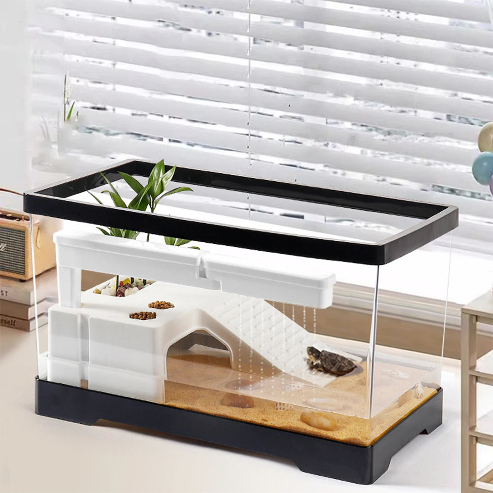 Large Transparent Turtle Tank  - Box Fish In Aquarium review and price