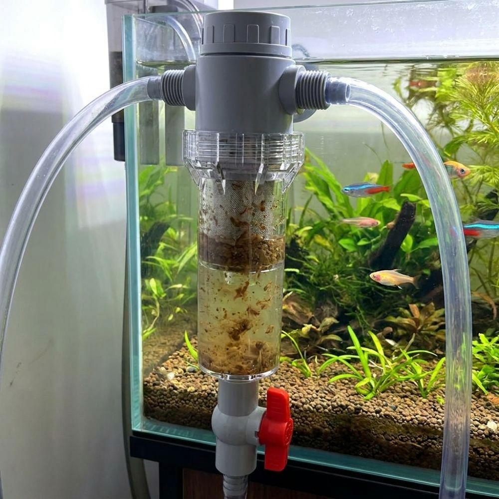 1/2 Thread Aquarium Feces Sepa - Aquarium Fish Rate review and price
