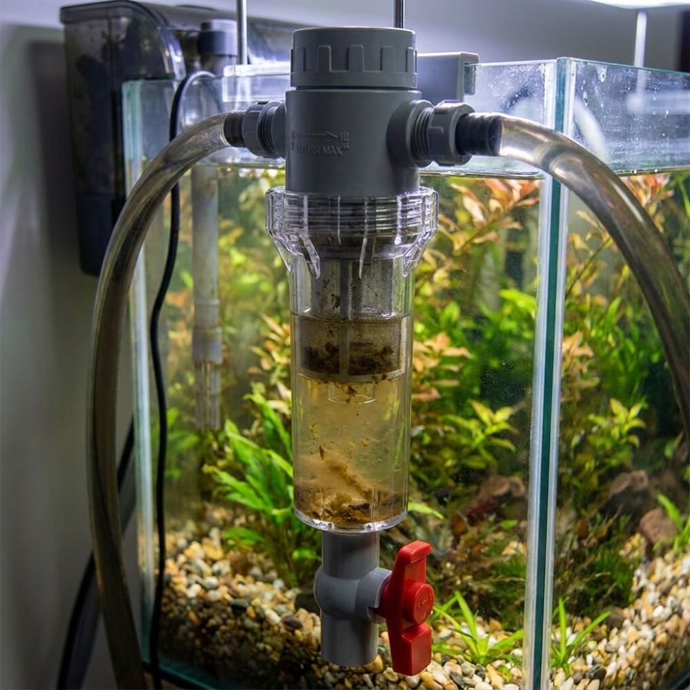 1/2 Thread Aquarium Feces Sepa - Aquarium Fish Rate review and price