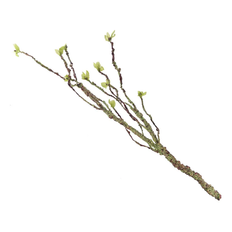 Vines Decor Climbing Branches  - Aquarium Fish Cartoon review and price