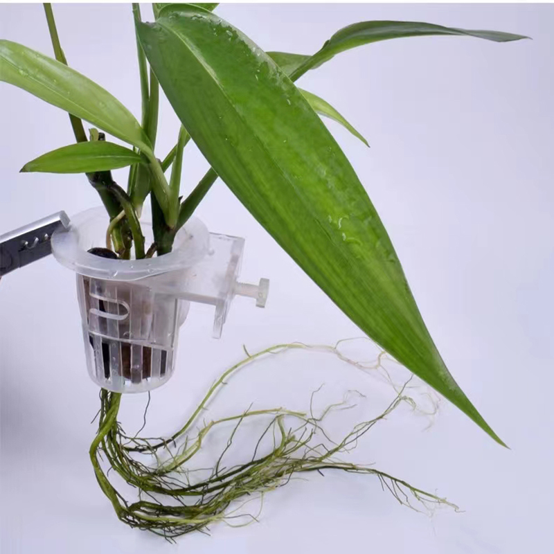 Aquarium Planting Basket Hydro - Aquarium Fish Elevator review and price