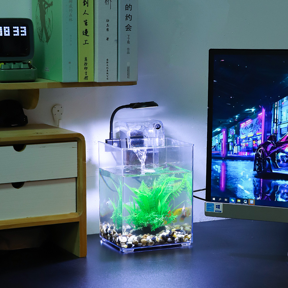 USB Desktop Fish Tank Set-Easy - Aquarium Fish For Beginners review and price