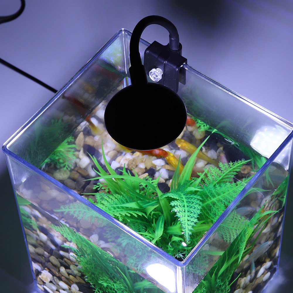 USB Desktop Fish Tank Set-Easy - Aquarium Fish For Beginners review and price